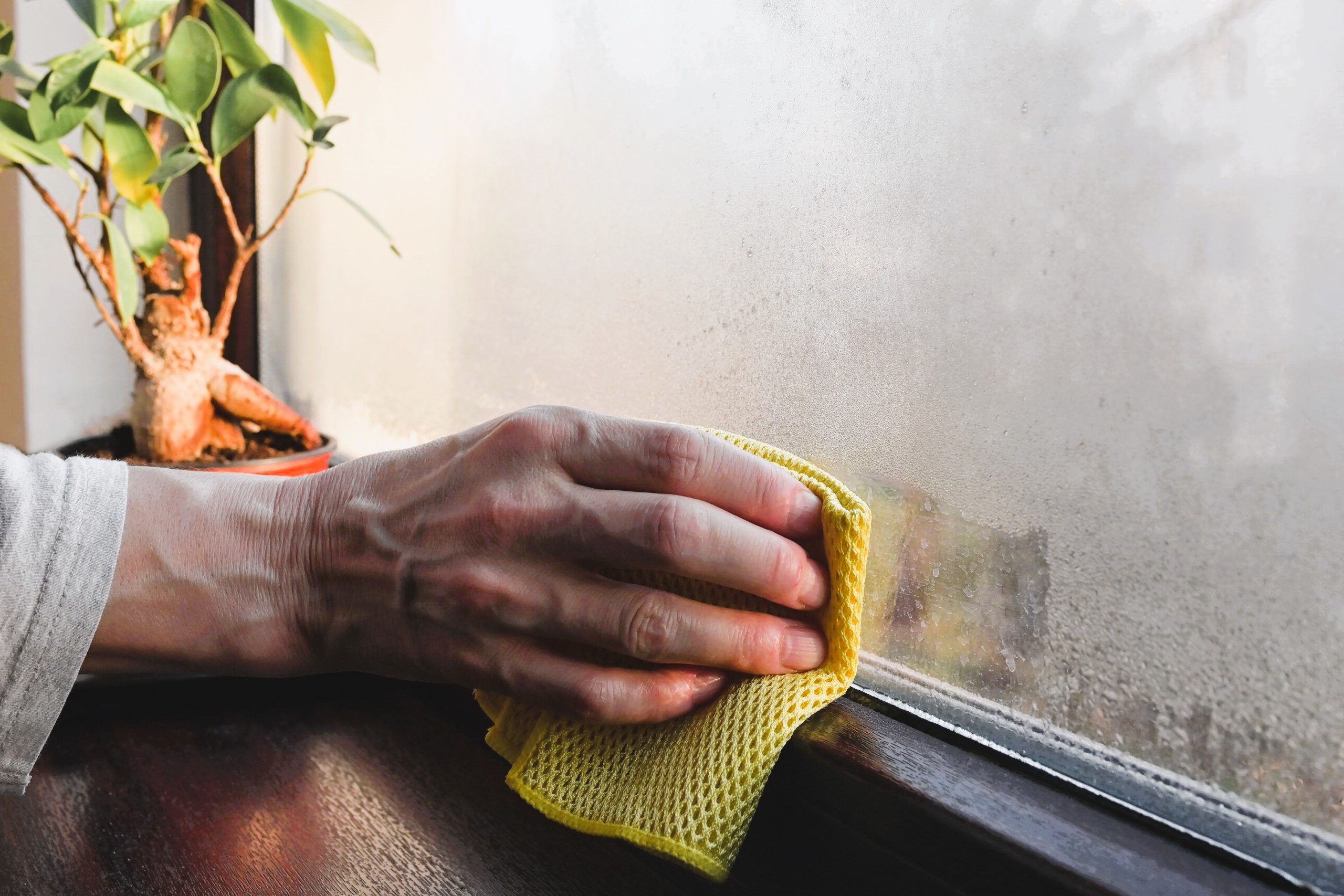 Wiping condensation on windows