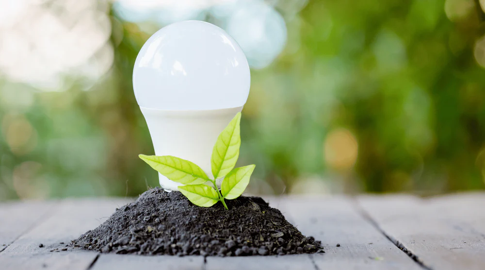 Your Energy Rebate Program